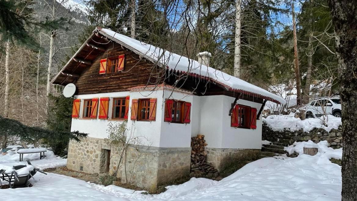 Chalet Le Tyrolien, Au Coeur Du Boreon Saint-Martin-Vesubie Ngoại thất bức ảnh