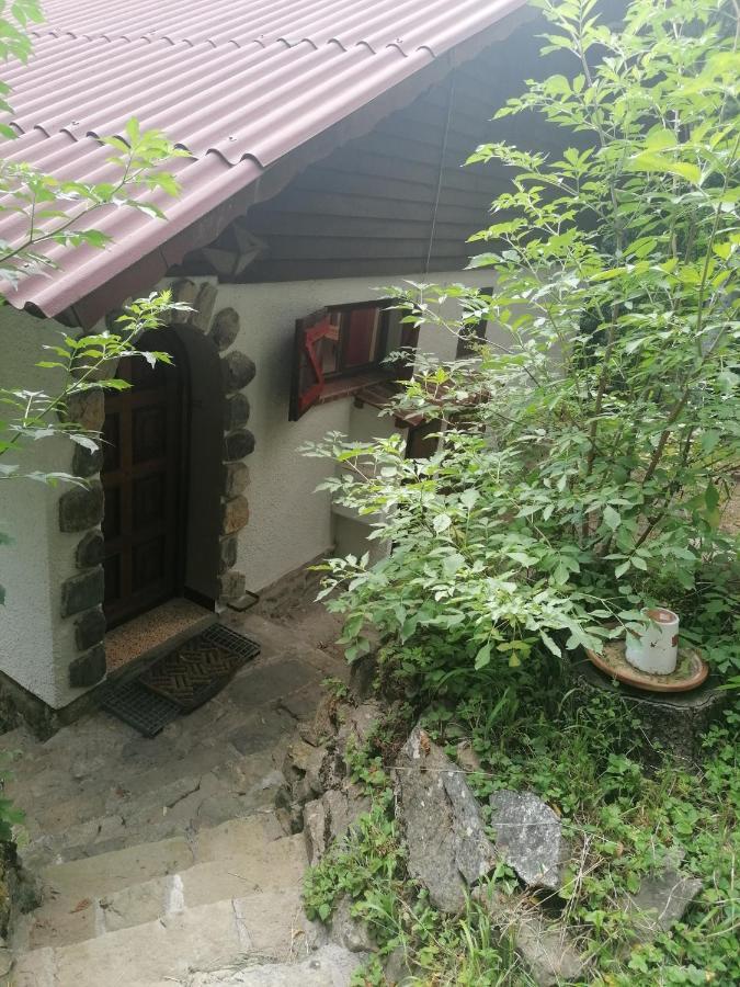 Chalet Le Tyrolien, Au Coeur Du Boreon Saint-Martin-Vesubie Ngoại thất bức ảnh